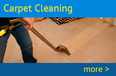 carpet cleaning